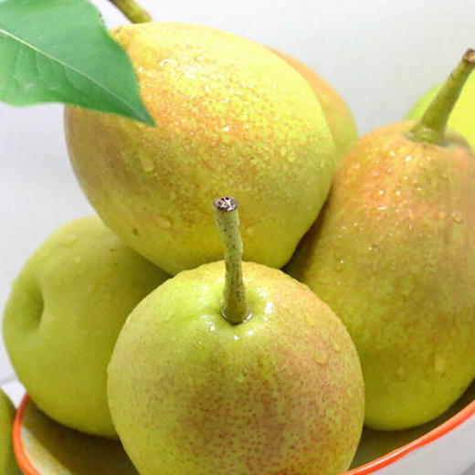 正宗新疆库尔勒香梨 商品图1