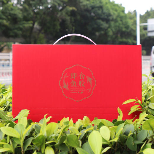 即食花胶红枣藜麦即食莲子鱼胶礼盒深海鱼胶干货正品代餐160g 商品图3