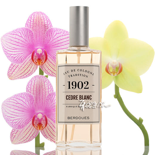 BERDOUES波多斯 雪松古龙水 cedre blanc 小样/正装 商品图0