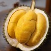 马来西亚液氮榴莲  黑刺 商品缩略图0