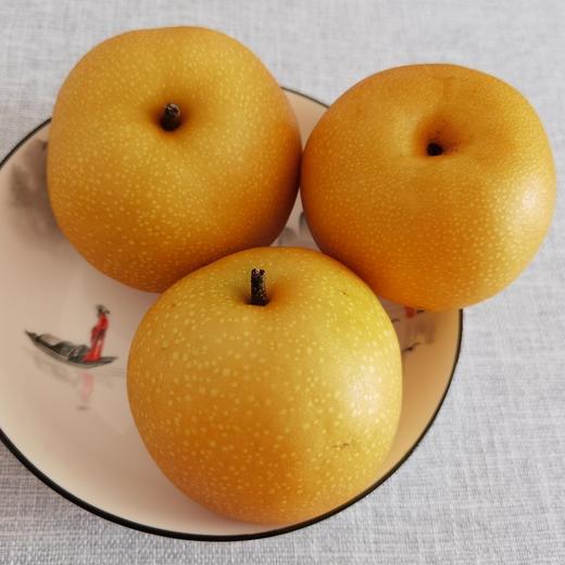 冰糖秋月梨（个头越大，品质越好），无药残生态种植，水分足，甜度高，脆甜无渣，果肉细腻。简易包装，韵达快递包邮（部分省份除外） 商品图5