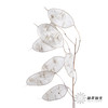 永生花材 | 银扇叶 商品缩略图2