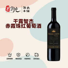 干露智杰赤霞珠红葡萄酒