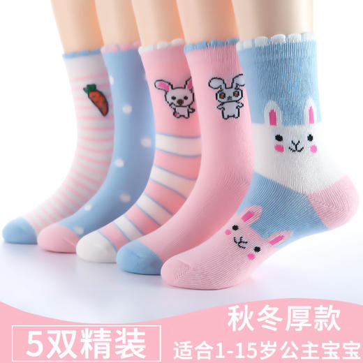 PDD-春秋儿童袜子女韩版秋冬女童宝宝袜洋气可爱中筒袜 商品图0