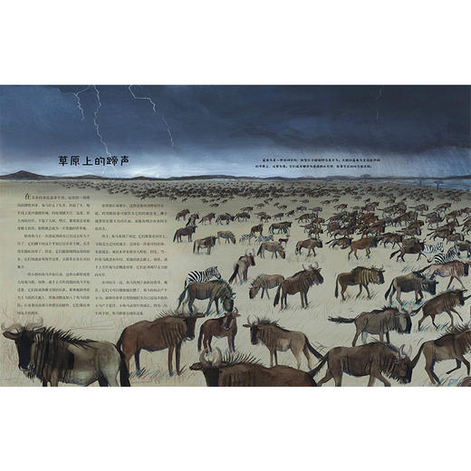 迁徙：不可思议的动物之旅 商品图6