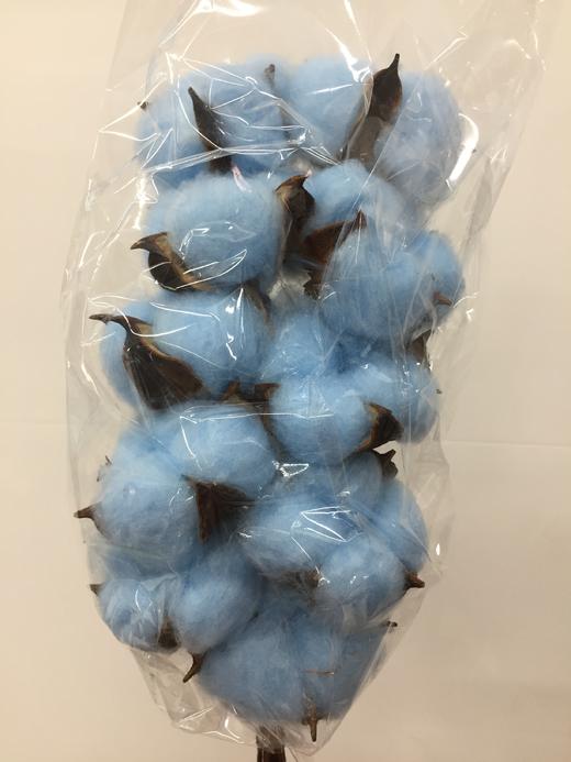 棉花【独立枝杆/10朵】单枝 多色可选 商品图1