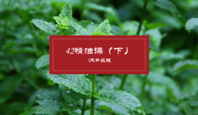 42精油下 5