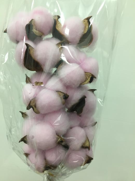 棉花【独立枝杆/10朵】单枝 多色可选 商品图3