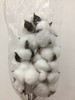 棉花【独立枝杆/10朵】单枝 多色可选 商品缩略图4