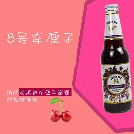丹麦  诱惑8号 330ml 商品图0