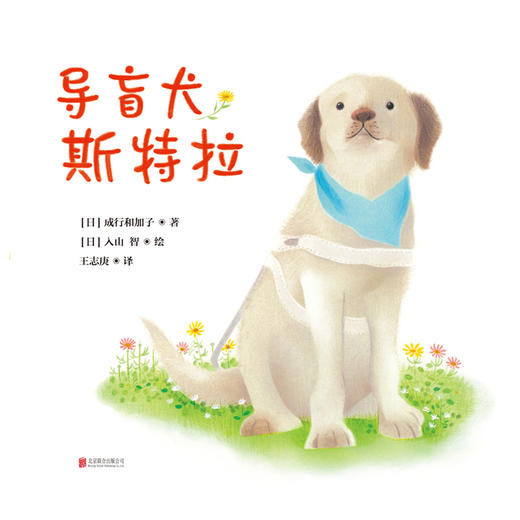 导盲犬斯特拉 商品图1