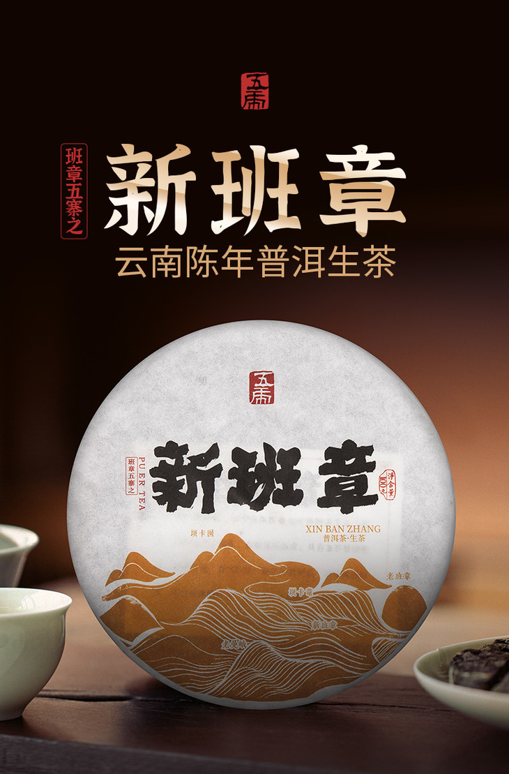 茶叶云南勐海古树普洱茶生茶陈年新班章饼茶手撕方格饼茶100g