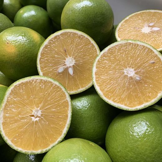 云南绿皮冰糖橙70-75果 商品图2