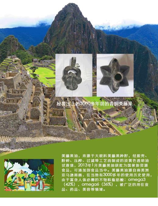 印奇美藤果油 源自秘鲁 西双版纳特产 欧美GAP认证 富含不饱和脂肪酸92% 商品图2
