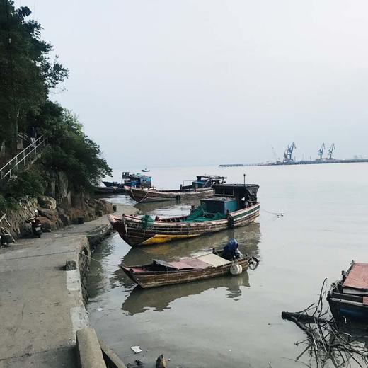 看海：漫步乍浦海滨栈道和海岸线，赏山海礁石，探寻江南水乡枫泾古镇（上海1天休闲活动） 商品图5