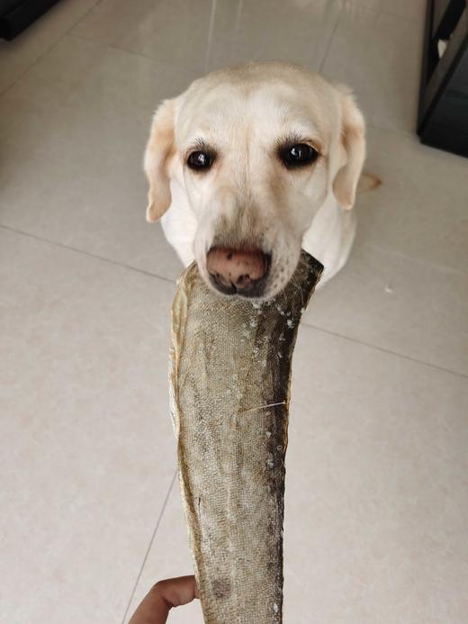 【好吃爱吃系列】爆款风干鳕鱼皮磨牙补钙耐咬美毛180克装！全场满80包邮 商品图0