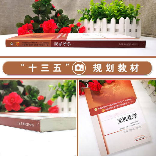 无机化学新世纪第四版 全国高等中医药院校规划教材第十版 铁步荣等主编中国中医药出版社9787513233590供中药学 中药制药等专业用 商品图2
