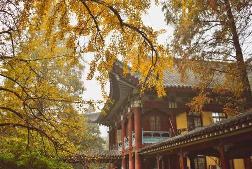 “六朝古都”秋韵丨栖霞山、灵谷寺、玄武湖、中山陵5天摄影团 商品图6