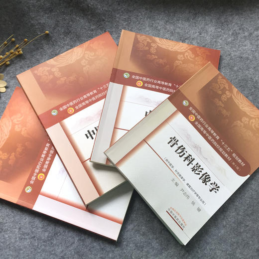 中医骨伤科学 第10十版+ 中医正骨学+中医筋伤学+骨伤科影像学全国高等中医院校十三五规划本科教材 中国中医药出版社 商品图3