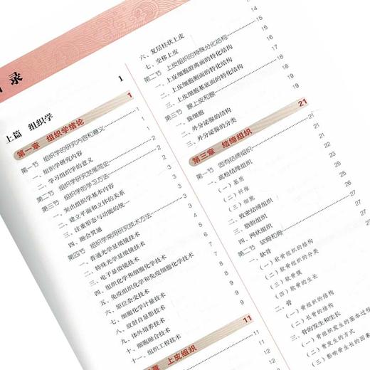 组织学与胚胎学 第10十版 新世纪第4四版 全国中医药行业高等教育十三五规划教材 周忠光主编 供中医学针灸推拿学护理学等专业用 商品图3