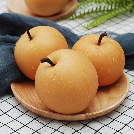 爆汁甜～【深州农场秋月梨】8-9头/原箱/约5斤，水嫩清脆，纯甜多汁 商品图1