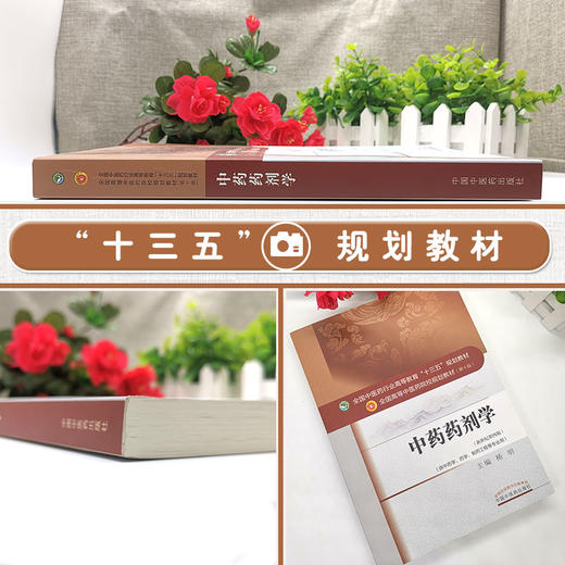 中药药剂学 第10十版 新世纪第4四版 杨明 供中药学药学制药工程等专业用 全国中医药行业高等教育十三五规划教材9787513233132 商品图2
