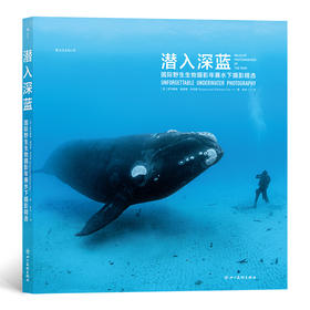 潜入深蓝 国际野生生物摄影年赛水下摄影精选