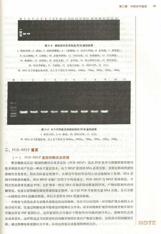 分子生药学 新世纪第二2版 全国高等中医药院校规划教材 第十10版 十三五规划教材 刘春生 袁媛 中医药 供中医学中药制药等专业用 商品图4