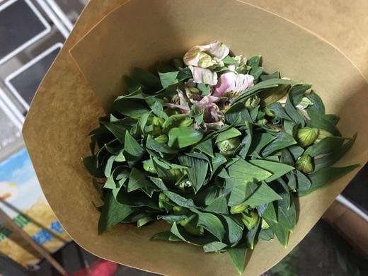 进口水仙百合·粉色 商品图1