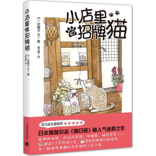 小店里的招牌猫 商品图0