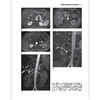 腹部盆腔MRI（第4版）彩色插图临床医生实习护士影像 护理院校学生学习医学专业参考书籍 商品缩略图3