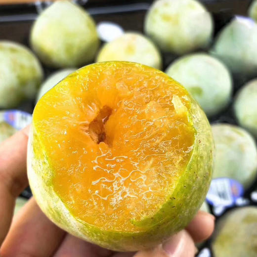 【美国"绿宝石"奶油蜜李】12只2.8-3斤/盒