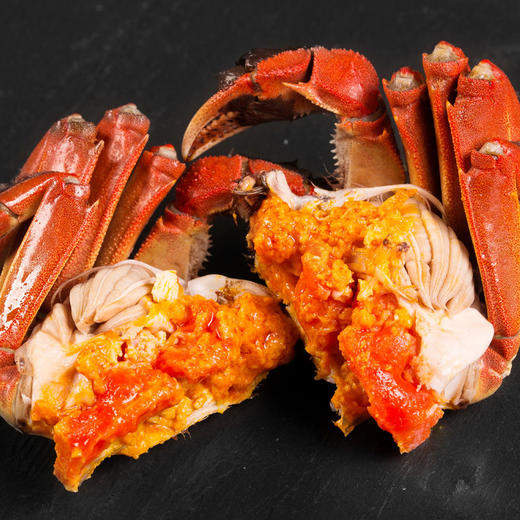 大闸蟹鲜活现货全母特大公母螃蟹六月黄现货活体