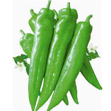 赞字村牛角椒(±25g/份)