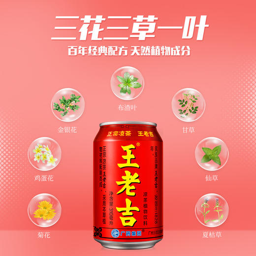 王老吉凉茶植物饮料310mlx20罐 商品图1