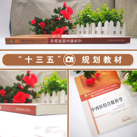 中西医结合眼科学 新世纪第3三版 全国高等中医药院校规划教材 第十10版 段俊国 毕宏生 中国中医药出版社 供中西医临床医学专业用 商品图2