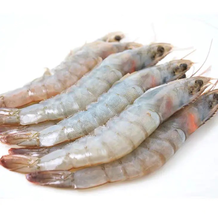 青岛深海野生大虾 4斤装（顺丰京东快递）