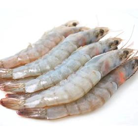 青岛深海野生大虾 4斤装（顺丰京东快递）