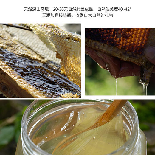 （乡村振兴商品）红岗山洋槐蜜500g 商品图1