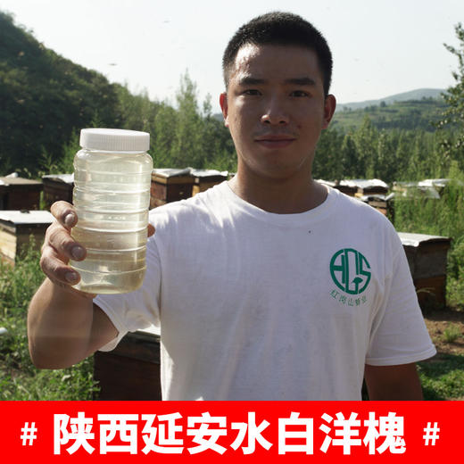 （乡村振兴商品）红岗山洋槐蜜500g 商品图4