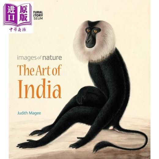 预售 【中商原版】The Art of India 英文原版 印度的艺术 商品图0