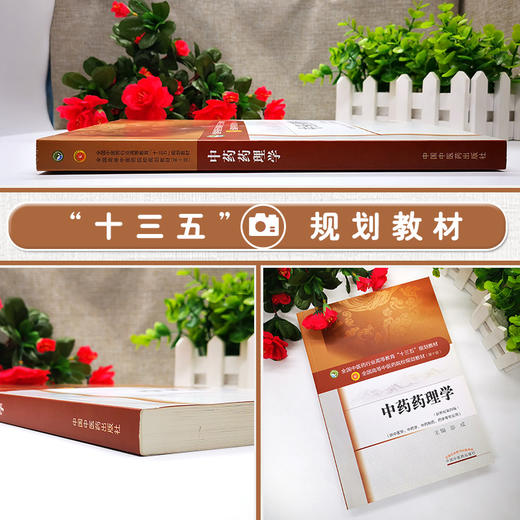 中药药理学 新世纪第四版 全国高等中医药院校规划教材 第十10版 彭成主编 中国中医药出版社 供中医学中药学中药制药药学等专业用 商品图2