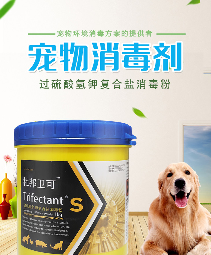 杜邦卫可消毒粉1kg桶装购2桶更划算