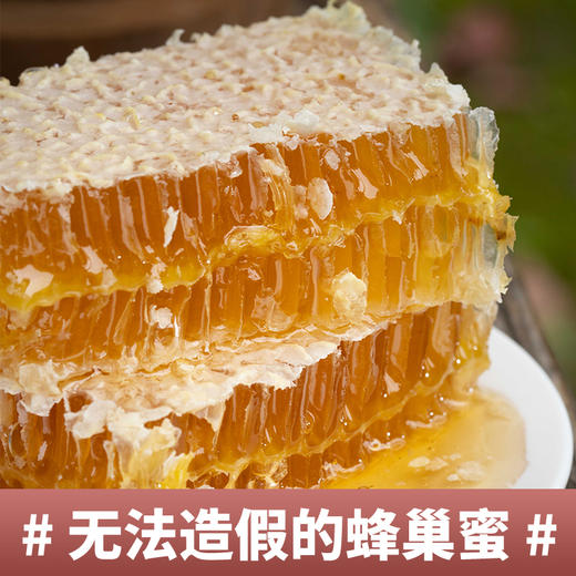 （乡村振兴商品）红岗山新巢蜜500g 商品图0