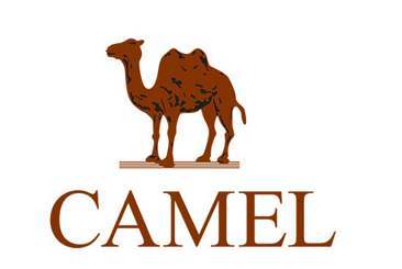 满2000减200 CAMEL/骆驼  到店自提商品 勿拍不发货 商品图0