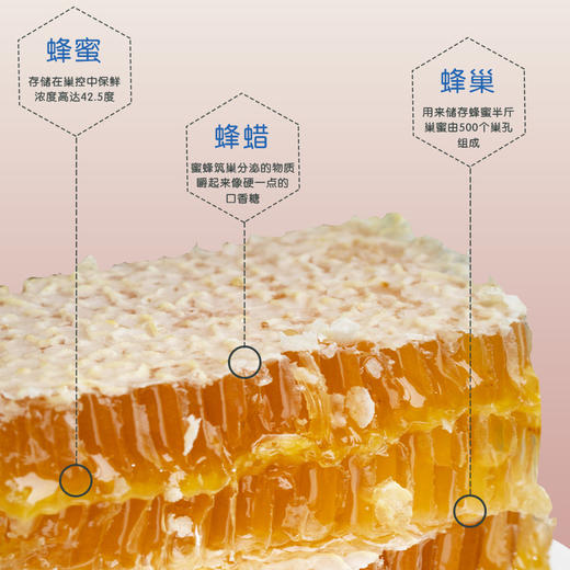 （乡村振兴商品）红岗山新巢蜜500g 商品图1