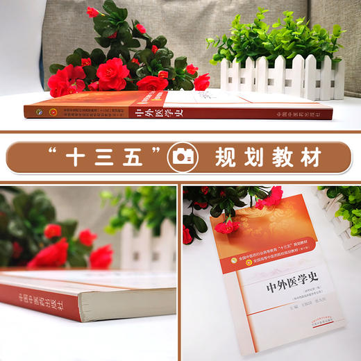 中外医学史 新世纪第3三版 全国高等中医药院校规划教材 第十10版 本科教材 王振国 张大庆主编 中国中医药出版社供中西医临床医学 商品图2