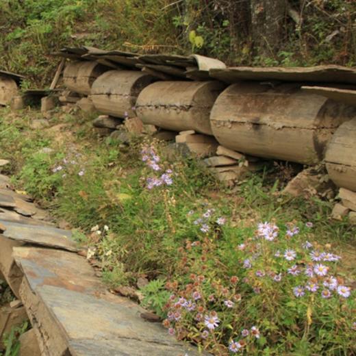 基地包邮 | 古法木桶土蜂蜜 500克/瓶 | 陕西 秦岭 刘蜜书 商品图4