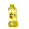 今麦郎蜂蜜柚子茶500ml 商品缩略图0