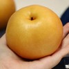 爆汁甜～【深州农场秋月梨】8-9头/原箱/约5斤，水嫩清脆，纯甜多汁 商品缩略图4